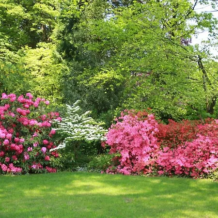 Oda ve Kahvaltı De Kwakkenberg