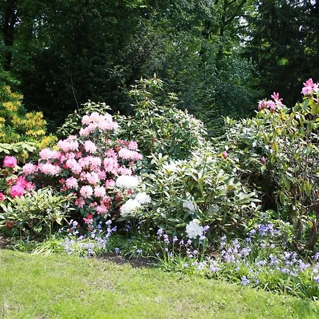 Bed & Breakfast De Kwakkenberg Nimega