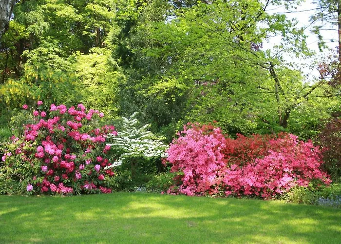 住宿加早餐酒店 De Kwakkenberg