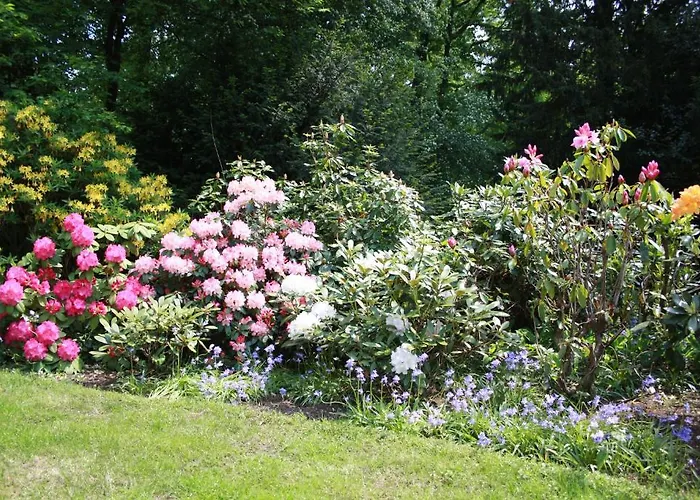 住宿加早餐酒店 De Kwakkenberg 奈梅亨
